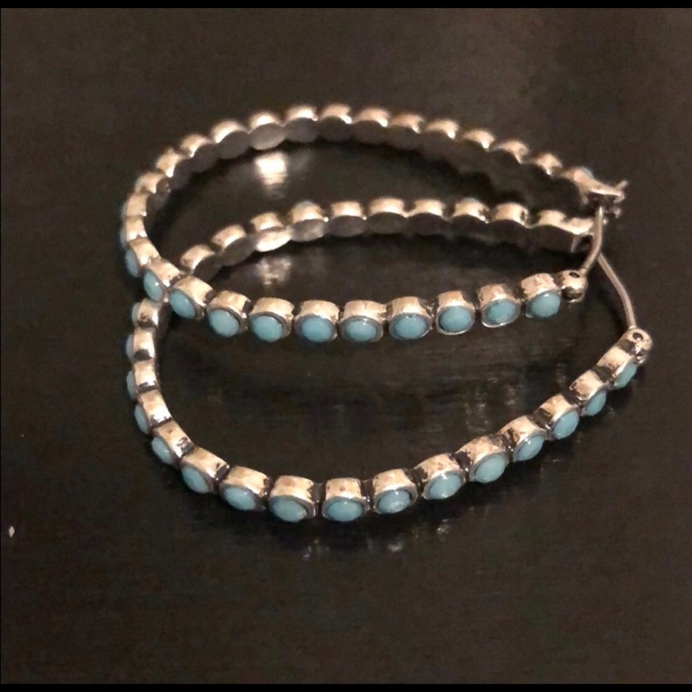Fossil Hoop Earrings